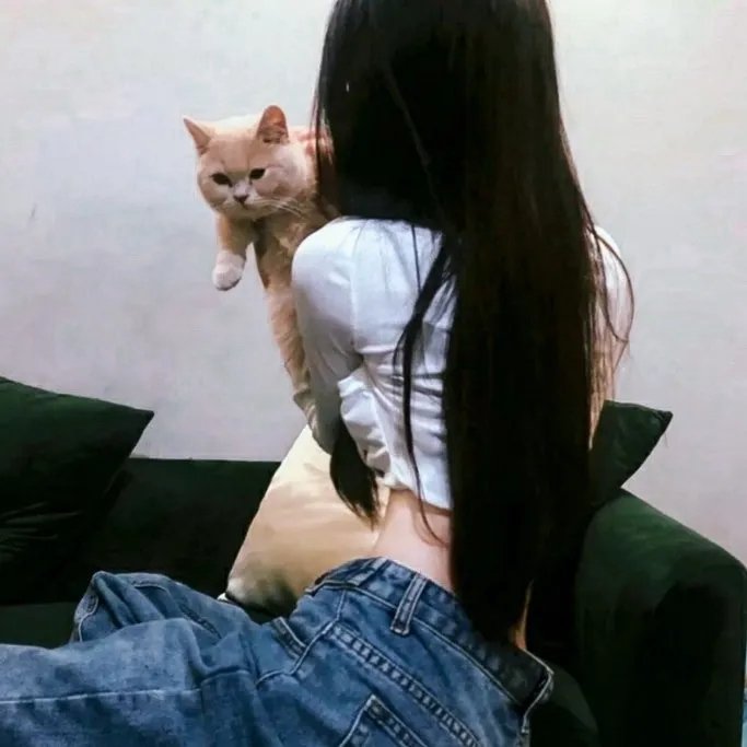 爱乐之城
